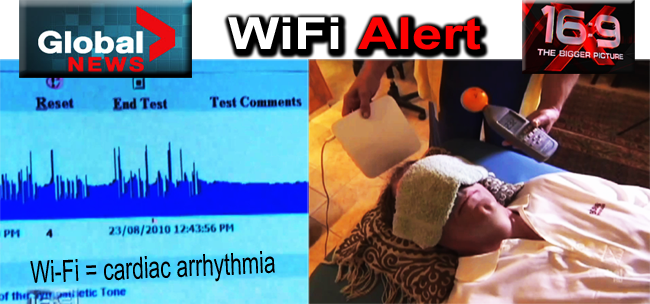 Global_News_WiFi_Schools_and_cardiac_arrhythmia _05_11_2010